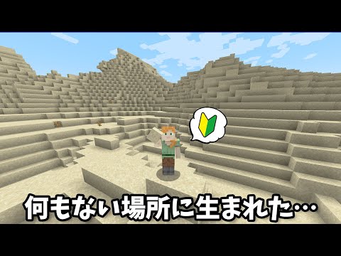 ほぼ初めてのマイクラで、木も何もない場所に生まれてしまった【令和の初心者マイクラ part1】